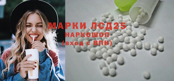 хмурый Тавда