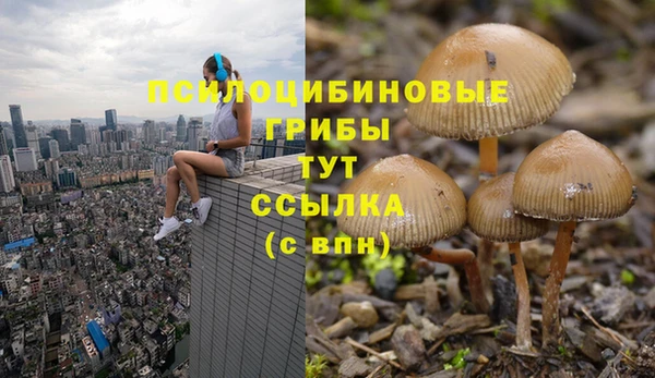 марки lsd Тихвин