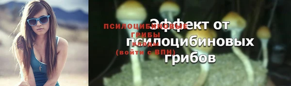 твердый Тобольск
